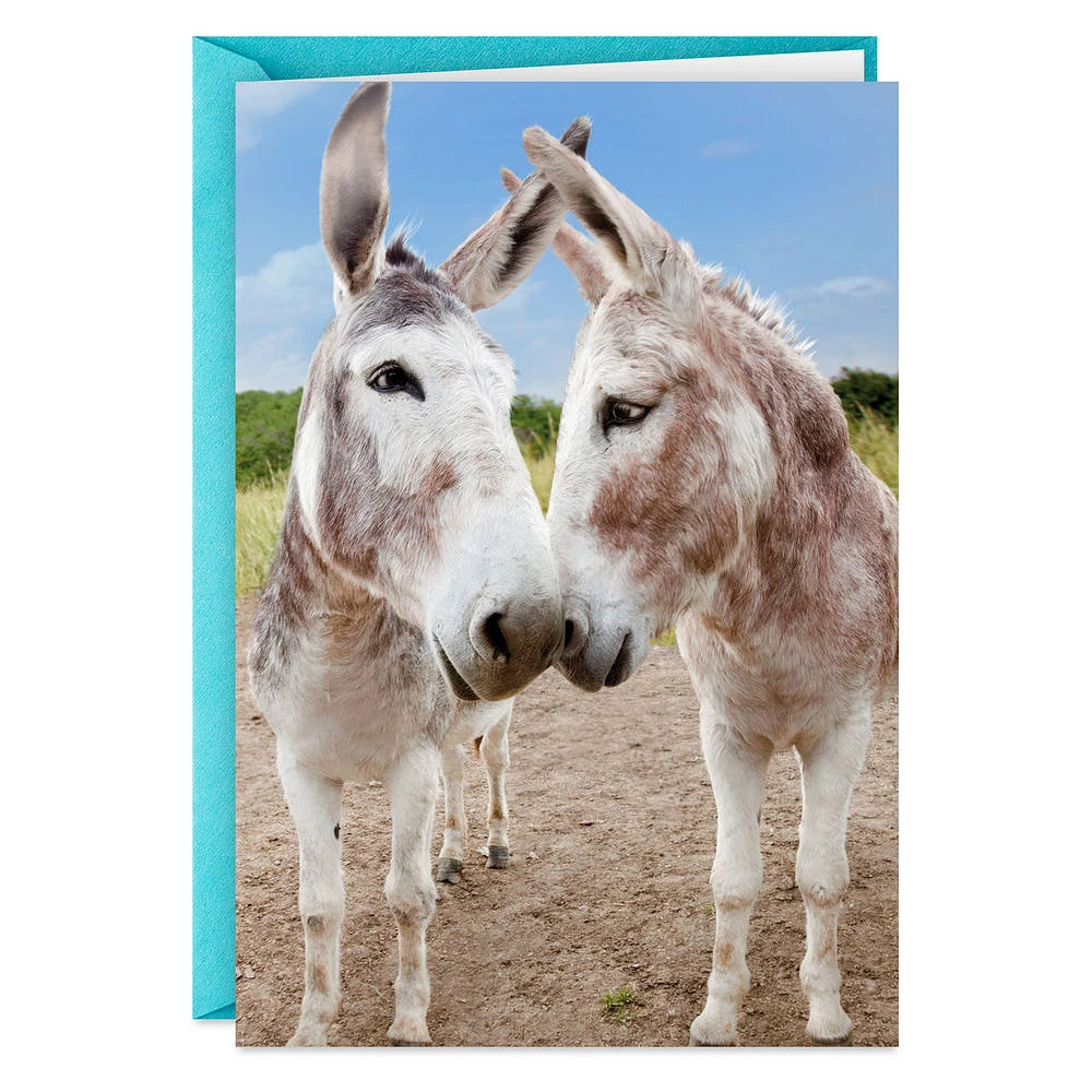 Glad You're Still Mine, Donkey Funny Romantic Anniversary Card for only USD 3.99 | Hallmark