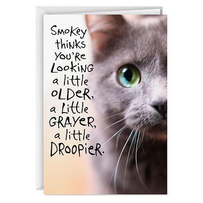 Pessimistic Cat Funny Birthday Card for only USD 3.99 | Hallmark