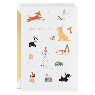 Party Pups Birthday Card for only USD 5.99 | Hallmark