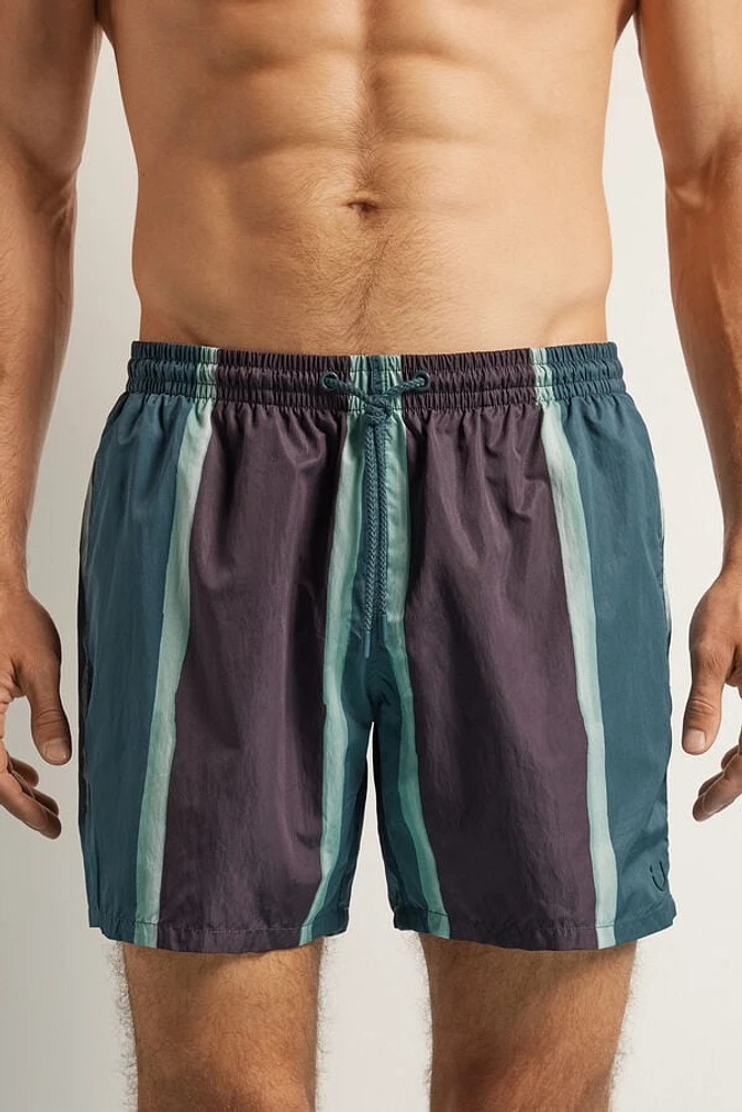 Macro Stripe Print Swim Trunks