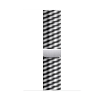 Apple 42/44/45mm Silver Milanese Loop