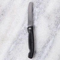 Victorinox Foldable Serrated Utility Knife