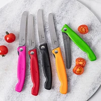 Victorinox Foldable Serrated Utility Knife