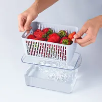 KSP Fridgestor Produce Keeper