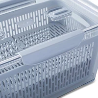 KSP Fridgestor Produce Keeper