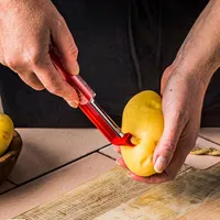 Dreamfarm Sharple Self-Sharpening Peeler Ea. 7" (Asstd.)
