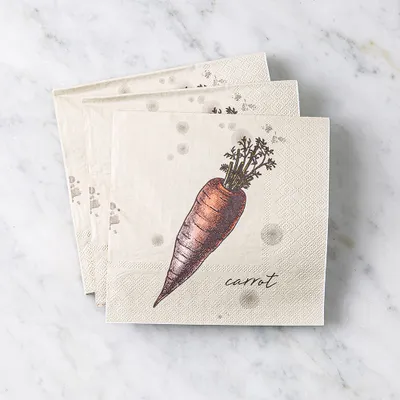 Harman 3-Ply 'Carrot' Paper Napkin - Set of 20 (Natural)