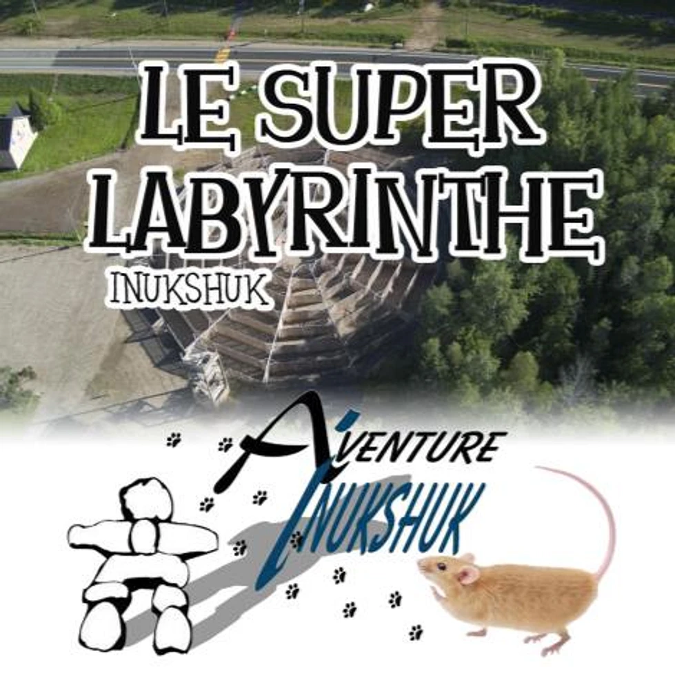 LABYRINTHE FOR TWO