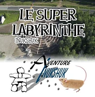 LABYRINTHE FOR TWO