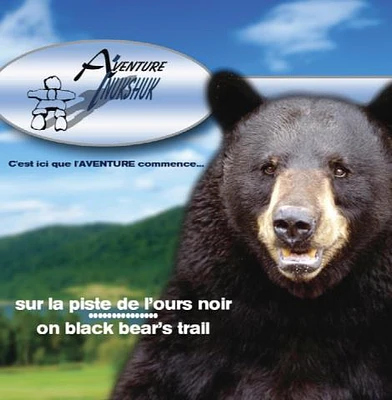BLACK BEARS OBSERVATION
