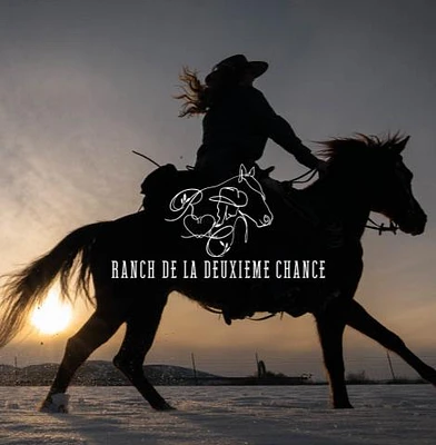 COURS D'ÉQUITATION 