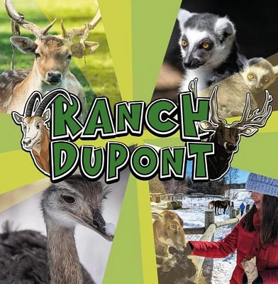 À LA DÉCOUVERTE DES ANIMAUX - FAMILLE
