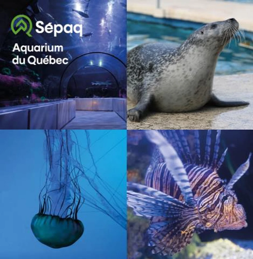 AQUARIUM DU QUÉBEC - 100$