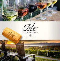 GODS OF WINE