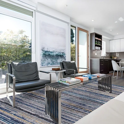 Spectrum Linear Area Rug