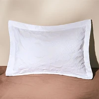 Paisley Sham