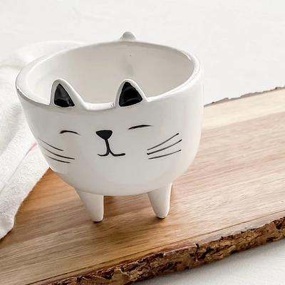 Ceramic Cat Planter