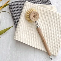 Tampico Fiber Dish Brush