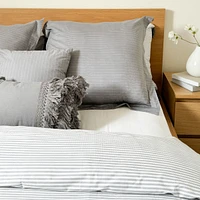 Aries Euro Sham