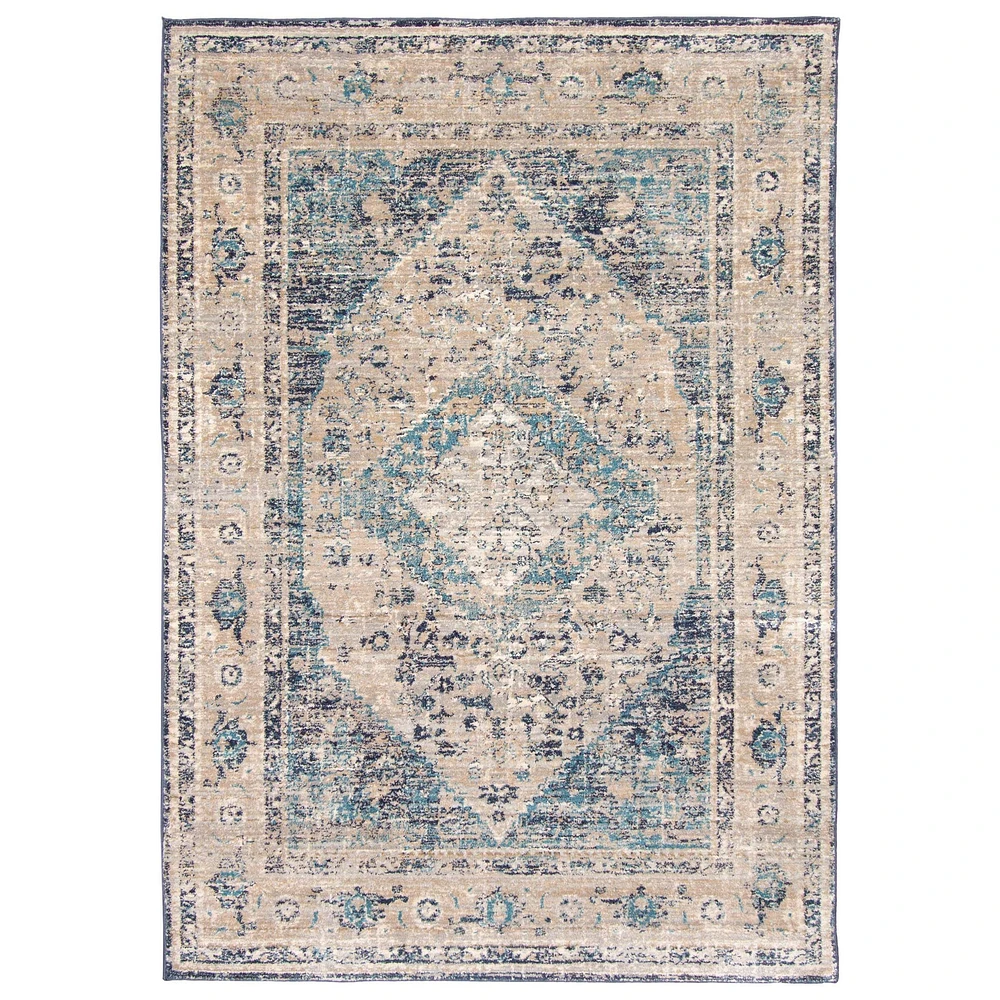 Bolivia Bijar Traditional Area Rug