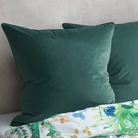 Arley Euro Sham