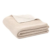 Softy Couverture