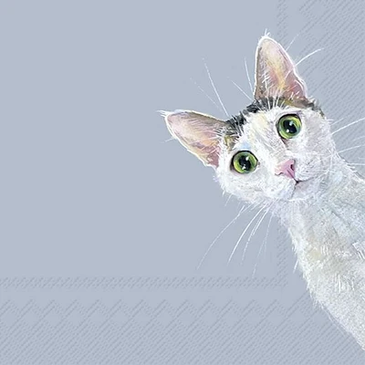 Cat Stella Lunch Napkins, Pack of 20