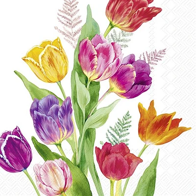 Bright Tulips Cocktail Napkins, Pack of 20