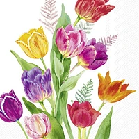 Bright Tulips Cocktail Napkins, Pack of 20