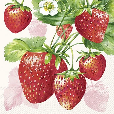 Cocktail Napkins, Pack of 20 - Strawberry Fruits 