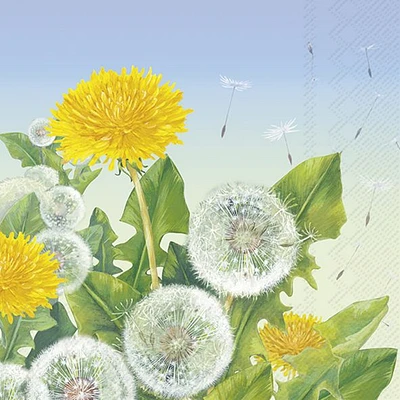 Lunch Napkins, Pack of 20 - Dandelion Meadow 