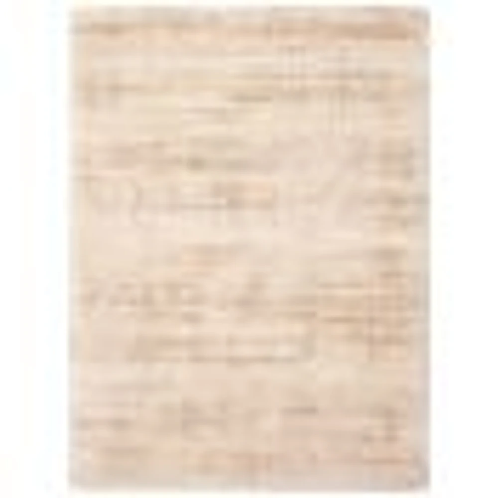 Sia Contemporary Shag Rug