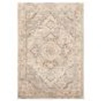 Priya Traditional Area Rug
