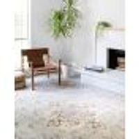 Loloi Clara Rug