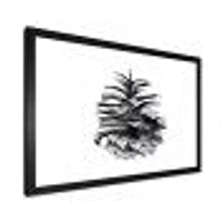 Conifer Cone Monochrome Wall Art