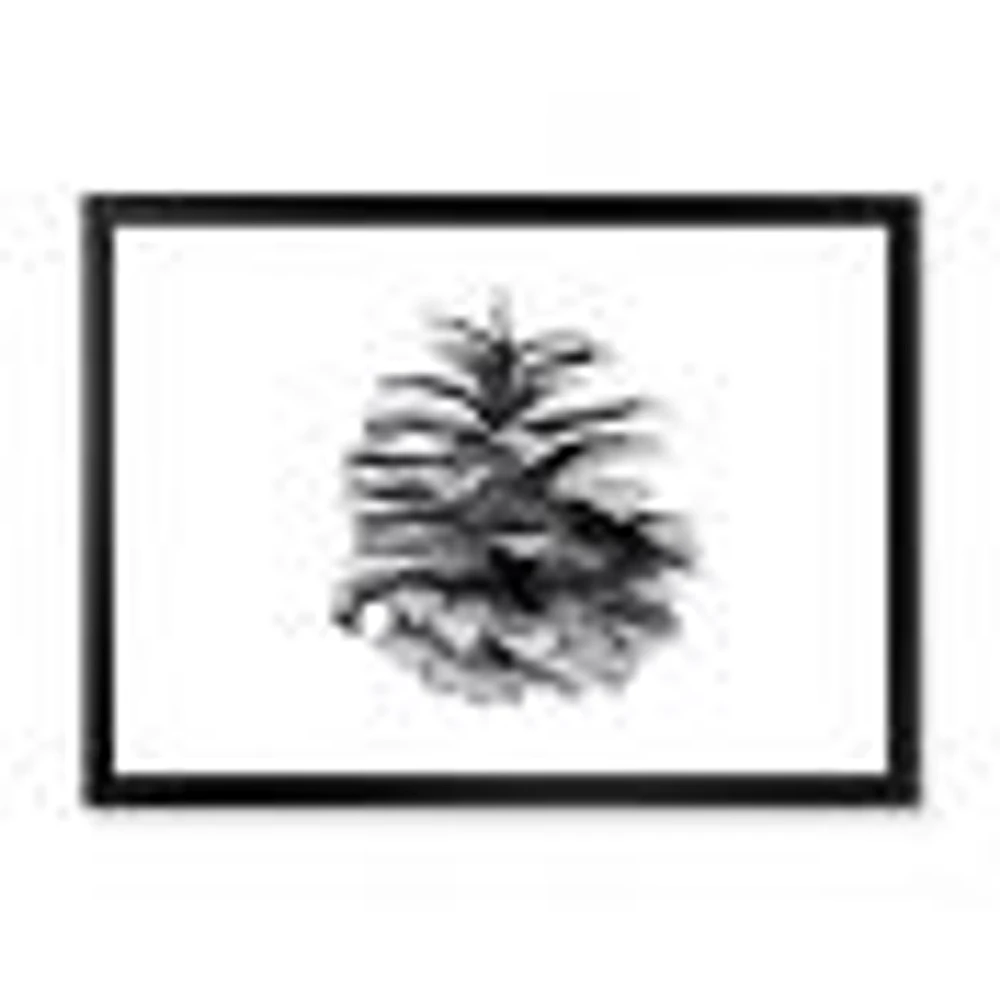 Conifer Cone Monochrome Wall Art