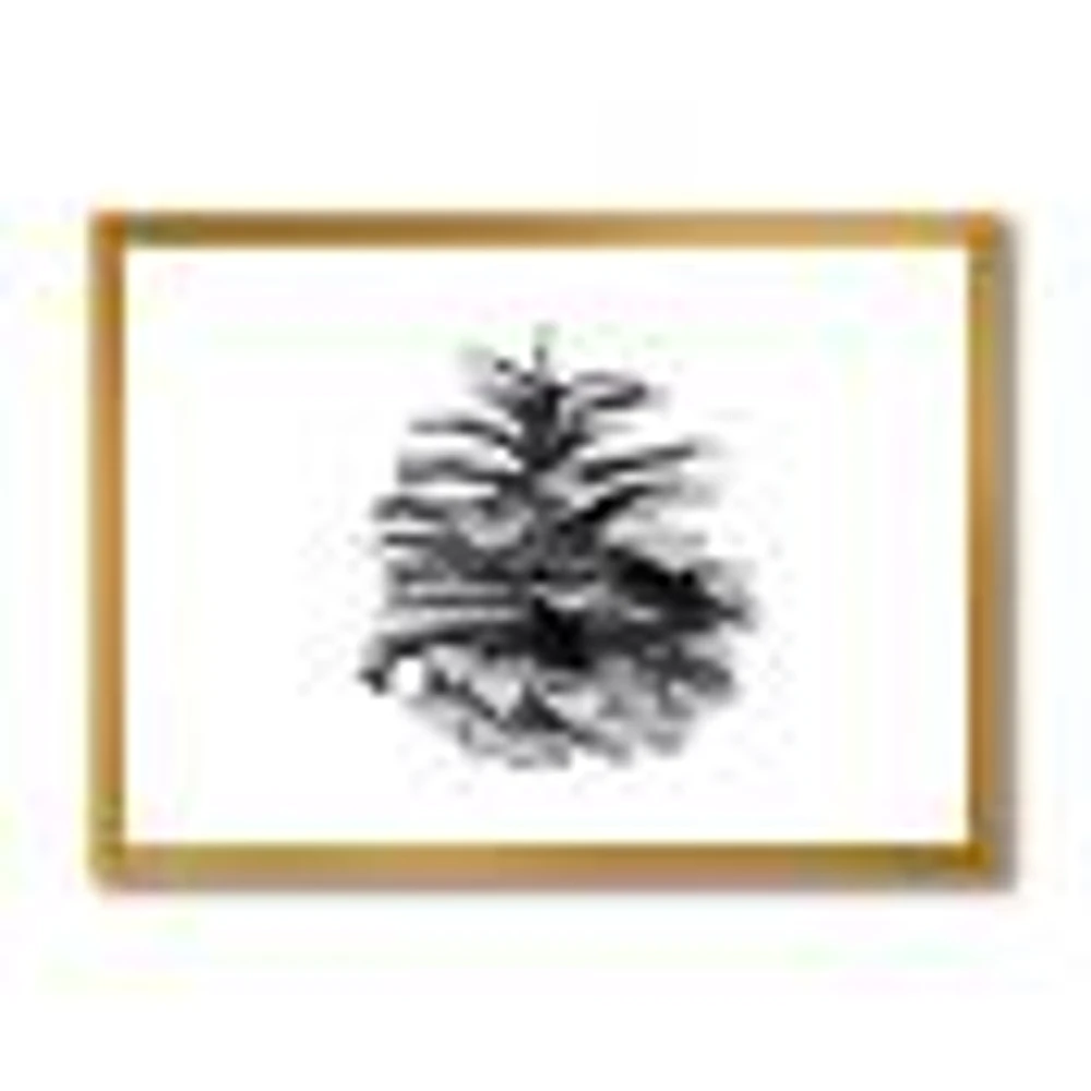 Conifer Cone Monochrome Wall Art