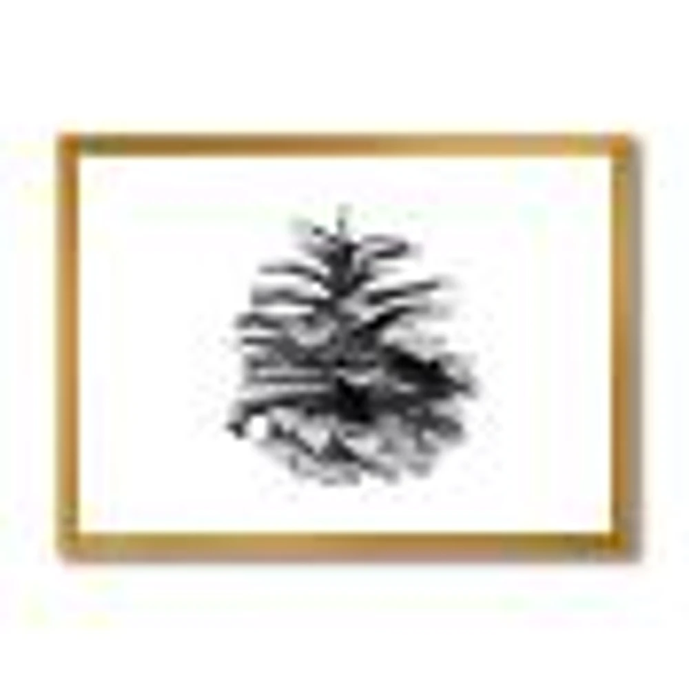 Conifer Cone Monochrome Wall Art