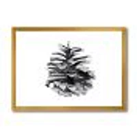Conifer Cone Monochrome Wall Art