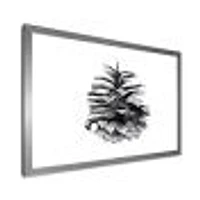 Conifer Cone Monochrome Wall Art