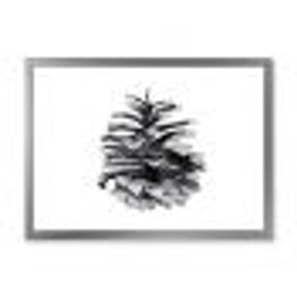 Conifer Cone Monochrome Wall Art