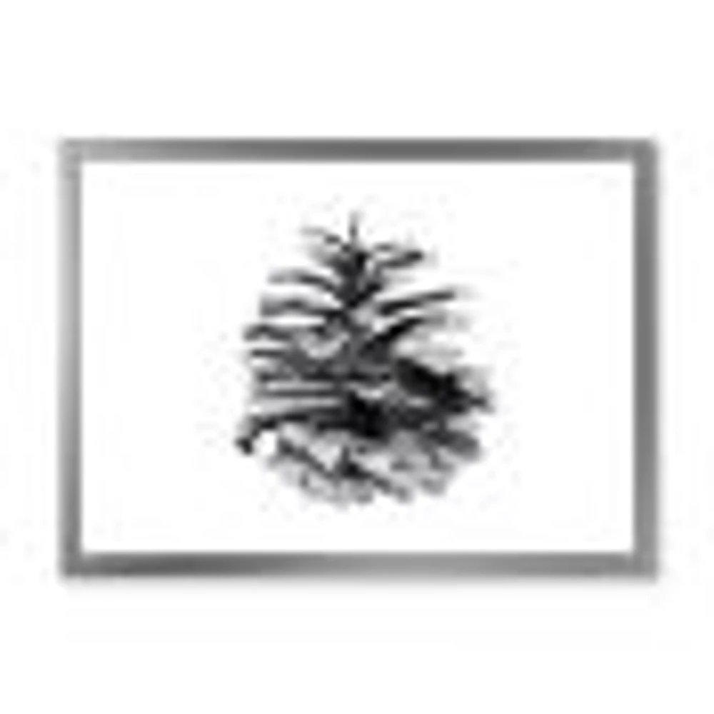 Conifer Cone Monochrome Wall Art