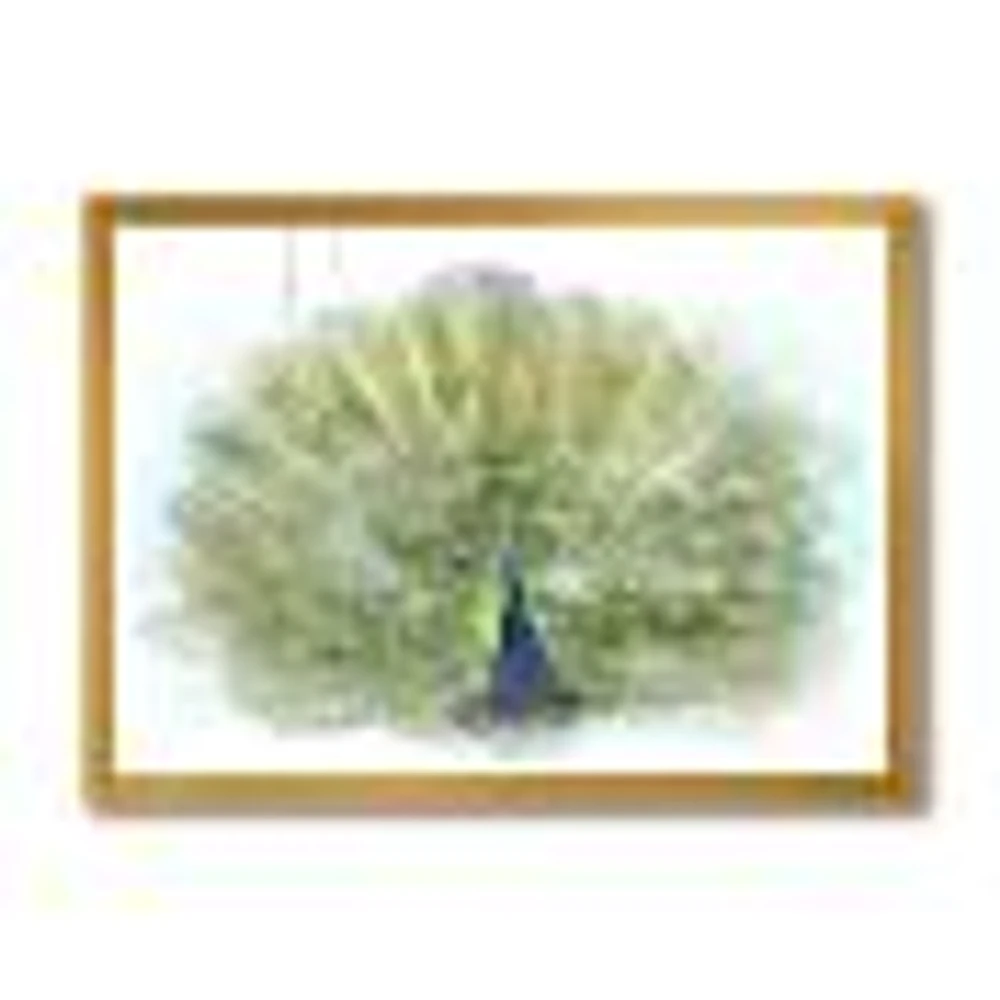 Toile « Peacock Bird »