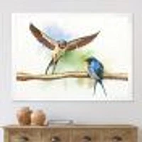 Two Barn Swallows Birds  Wall Art