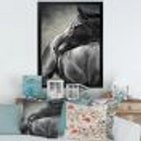 Portrait of A Black Horse  Canvas Wall Art Print