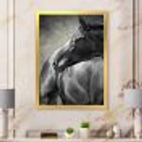 Portrait of A Black Horse  Canvas Wall Art Print