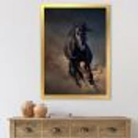 Portrait of Thoroughbred Nonius Stallion Horse I  Wall Art