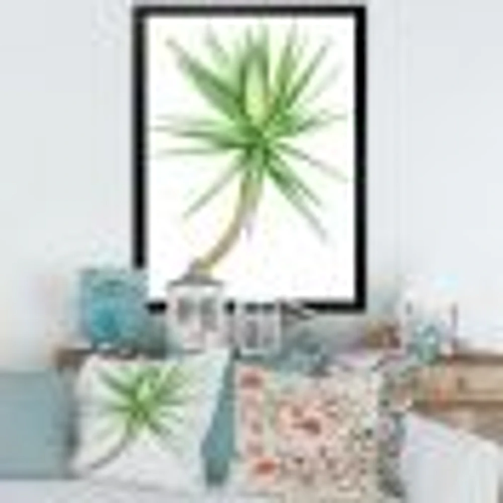 Detail of Yucca Tree  Canvas Wall Art Print