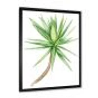 Detail of Yucca Tree  Canvas Wall Art Print