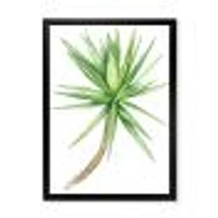 Detail of Yucca Tree  Canvas Wall Art Print